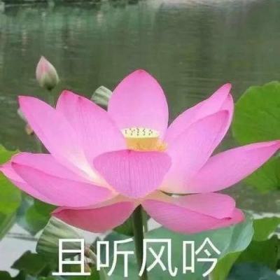 李石松、刘勇任云南省副省长